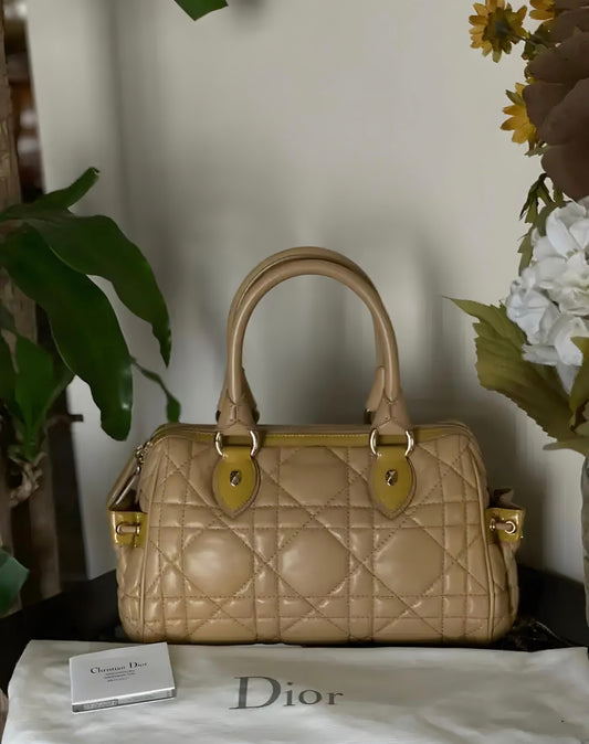 حقيبة ديور جلد كاناج بيج مبطن