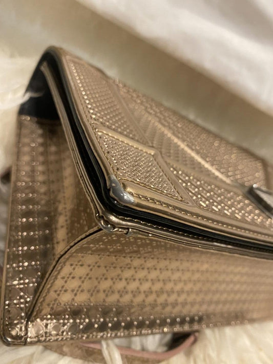 حقيبة ديور ديوراما